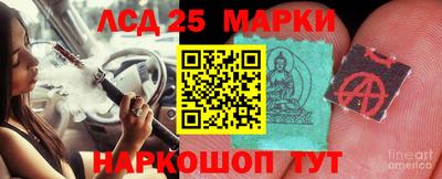 гидра Берёзовский