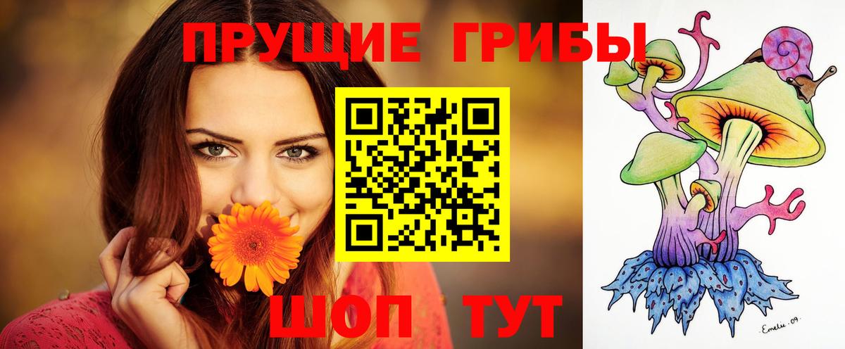 Галлюциногенные грибы Psilocybine cubensis Джанкой